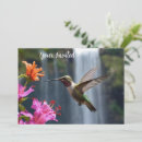 Search for hummingbird invitations Wildlife