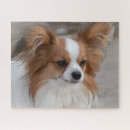 Search for papillon puzzles Animal