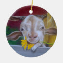 Search for goat ornaments Children