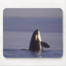 Search for wildlife mousepads coast