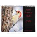 Search for bird calendars Photography
