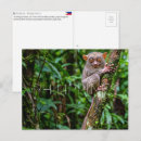 Search for philippines postcards Asia