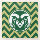 Search for colorado coasters Fort collins