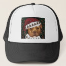 Search for american bully hats Pit bull