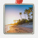 Search for dominican republic ornaments Island