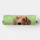 Search for dachshund favors Pet