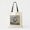 Search for seal pup gifts Marinelife