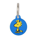 Search for pet supplies Sunday paper