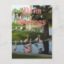 Search for palm springs postcards Mountains