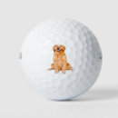 Search for golden retriever golf balls Pets