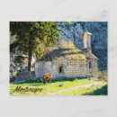 Search for montenegro postcards Kotor