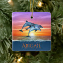 Search for dolphin ornaments Sunset