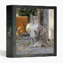 Search for cat binders Kawaii