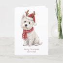 Search for westie christmas cards Cute