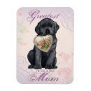 Search for black lab magnets Puppy