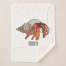 Search for crab blankets Crustaceans