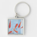 Search for goldfish keychains Blue