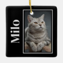 Search for unique pet memorials Sympathy quote