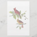 Search for cardinal stationery paper Red bird