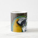 Search for parrot mugs Gold