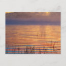 Search for new york postcards Colorful