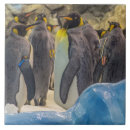 Search for penguin tiles Wildlife