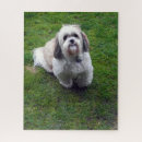 Search for shih tzu dog puzzles Fluffy