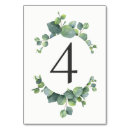 Search for eucalyptus table cards Botanical