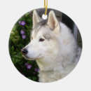 Search for red siberian husky ornaments Pet