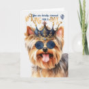 Search for yorkshire terrier dog birthday cards Dogs