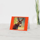 Search for donkey christmas cards Celebration