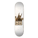 Search for skateboards Cool