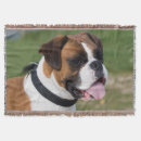 Search for boxer blankets Pet