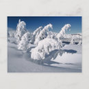 Search for crater lake postcards America