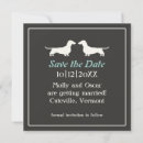 Search for dachshund invitations Modern