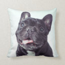 Search for french bulldog pillows Domestic animals