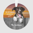 Search for german shorthaired pointer ornaments Cute