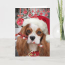 Search for cavalier king charles spaniel christmas cards Dogs