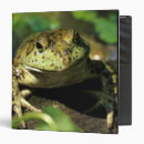Search for frog binders Nature