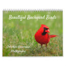 Search for bird calendars Cardinal