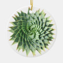 Search for succulents ornaments Cacti