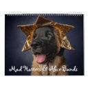 Search for newfoundland dog calendars Dogs