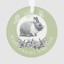 Search for rabbit ornaments Green
