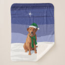 Search for christmas dog blankets Yellow lab