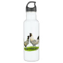 Search for chicken water bottles bird