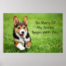 Search for pembroke welsh corgi posters baby animals