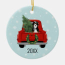Search for bernedoodle ornaments Pet