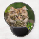 Search for maine coon cat mousepads Kitten