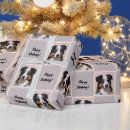 Search for australian shepherd wrapping paper Breed