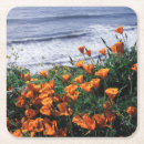 Search for california coasters Big sur